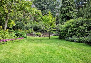 Optimiser l'expérience du jardin à Bains-les-Bains